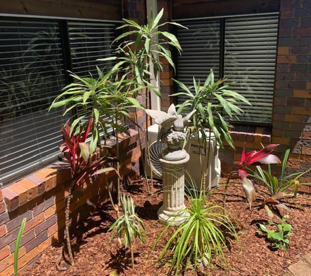 Montville Holiday Apartments Εξωτερικό φωτογραφία